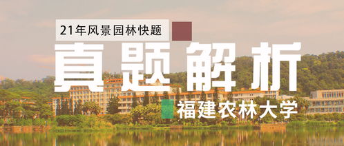 真题解析 2021年福建农林大学风景园林快题