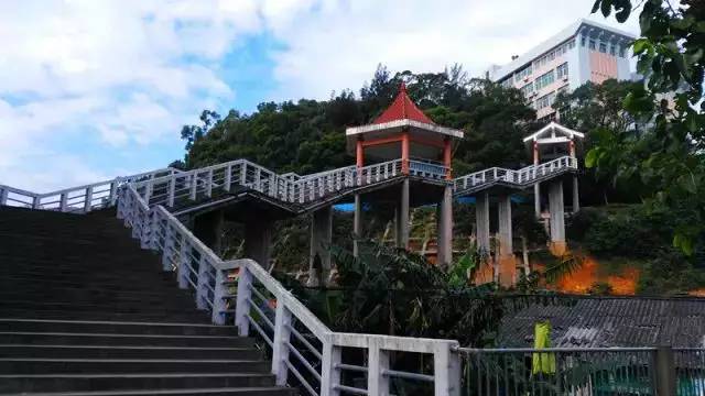 报考福建师范大学福清分校 官微君为您答疑解惑！