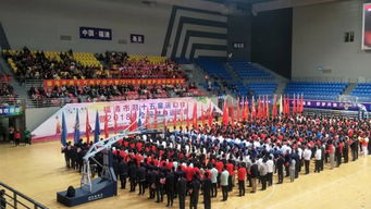 不一样的视角看赛会 感谢这些温暖的小清新——记福建师范大学福清分校的青春身影